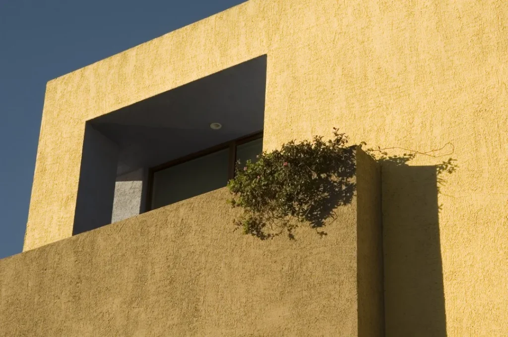 Fotografía de la fachada arquitectónica de una casa color amarillo con café y una planta frente a la ventana.